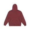 HEALTH SEEKERS HOODED CARDINAL SWEATSHIRT 2